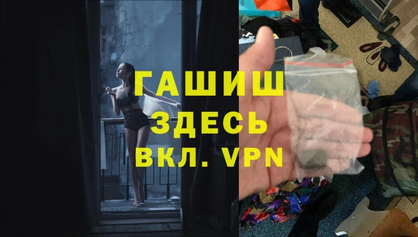 крисы Бородино
