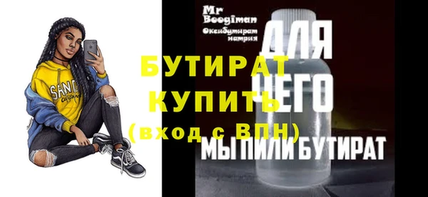 крисы Бородино