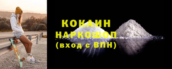 индика Бронницы