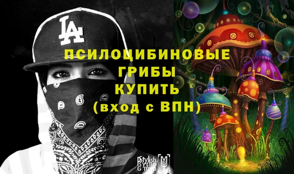 МДПВ Бугульма