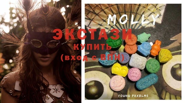 крисы Бородино