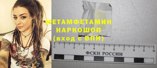 крисы Бородино