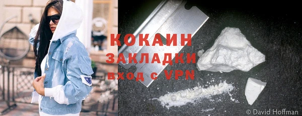 индика Бронницы