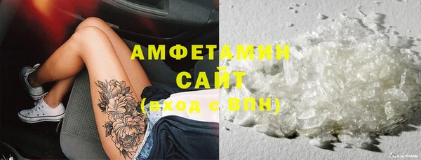 индика Бронницы