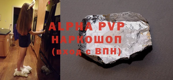 крисы Бородино