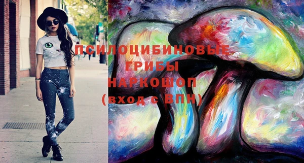 крисы Бородино