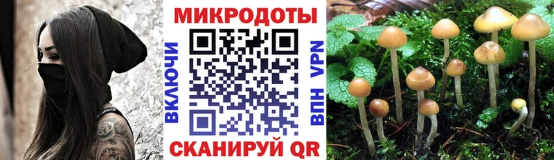 где найти наркотики  Карасук  Галлюциногенные грибы Cubensis 